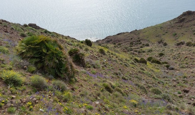  la bellezza di cabo de gata 
